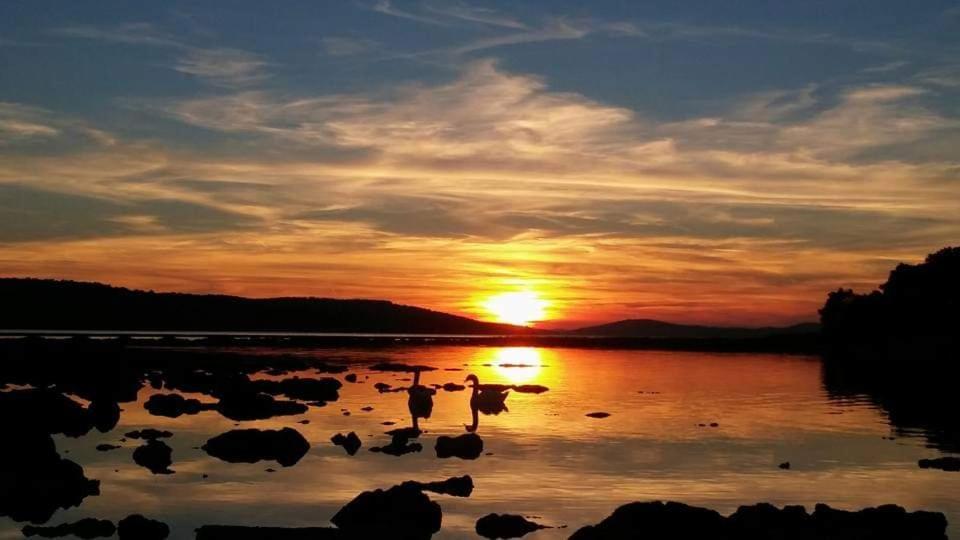 Apartman Dawidh Šibenik Exterior foto